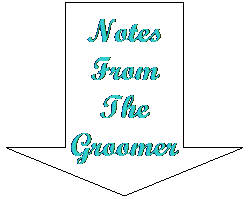 Down Arrow: Notes From The Groomer
